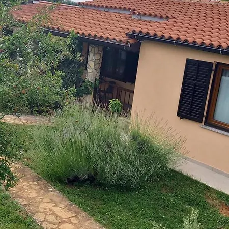 Otel House With A Parking Space Lovrecica, - 23101 Umag